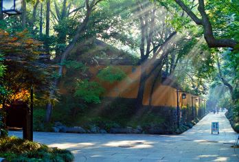 杭州灵隐飞来峰景区+人工讲解【赠北高峰单程上行索道】【[专职导游]行程轻松，深度讲解，讲解内容一一细数道来，带你了解佛教历史文化】