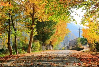 十八月潭包车游【（汉中出发）或光雾山或米仓山 包车游】【包车独立发车，按照人数选择车型，价格指的是一辆车的价格，独立包车不拼团】