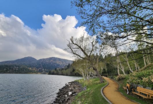 日本北海道札幌-神居古潭-旭山动物园【中文专车-悦享旅途】【中文专车出行，景点灵活调整，打卡经典，游玩自己定义，无需等待，专属贴心服务，尽享惬意旅程】
