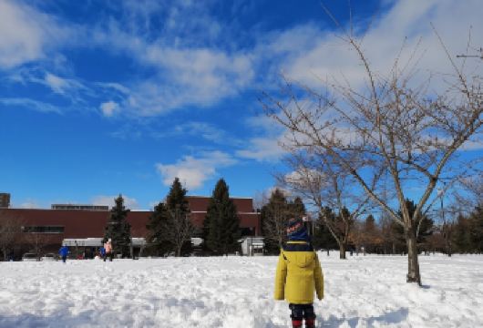 日本北海道旭川+森林精灵阳台一日游/行程可调-可定制多日【包车一日游，解锁旅行新方式！独立车辆配备经验丰富的老司机，为您量身打造专属行程。】