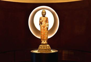 青州博物馆半日游【协助入园—资深讲解—精致小团】【[亲子研学]专业讲解，带您了解历史文化】