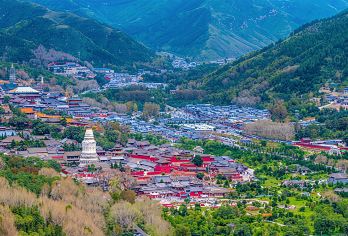 山西五台山一日游【门票全含/祈福·还愿/太原出发/私家小团】【沿途深度讲解】