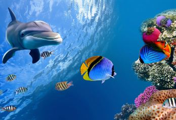 北京富国海底世界+颐和园一日游【中央电视塔外景/私家定制】【1.真正VIP私家团 纯玩线路，绝无购物店，一站直达景区！】