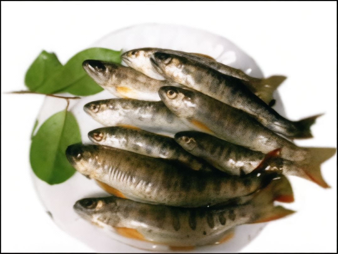 「夠得着星」龍神村小又川平房