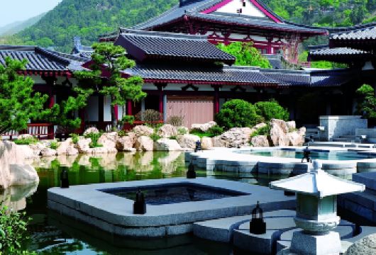 兵马俑+华清宫+西安事变 一日活动【三环内接早/金牌讲解】【[亮点1]：深度讲解观看《西安事变》体验烽火岁月，解锁出行新方式！】