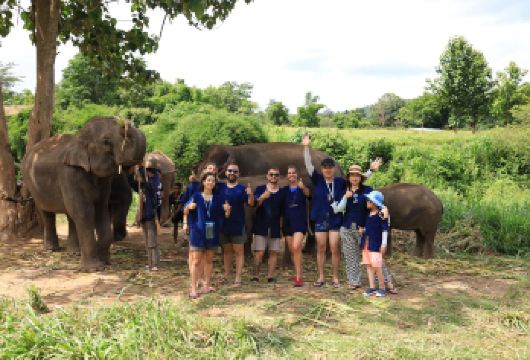 清迈 Living Green Elephant大象营一日游【[中文导游]讲解幽默详细，行程更easy】