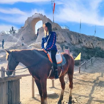 宁夏银川西夏陵+贺兰山岩画+镇北堡西部影城纯玩一日游