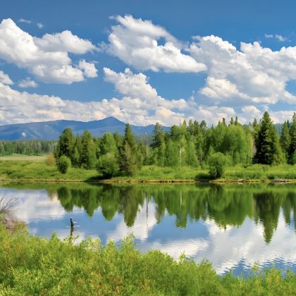 美国盐湖城-大提顿&黄石国家公园可定制【中文专车-舒适纯净】