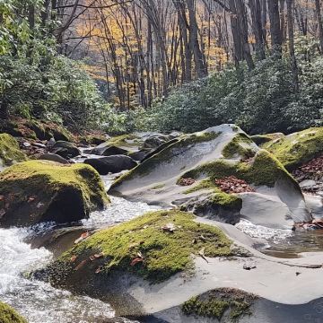 美国亚特兰大-大烟山国家公园-雾境仙境之旅【中文包车自由行】