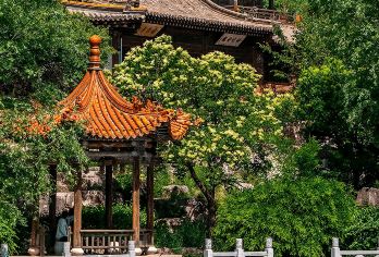 大同圣泉寺+水神堂一日游【VIP独立包车|新线路|小悬空寺】【圣泉寺依山而建，因寺内有一眼常年不涸的“圣泉”而得名】