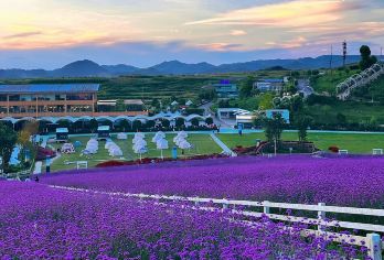 贵州贵阳-青云集市-花溪高坡云顶花海-青岩古镇-花溪夜郎谷#【车接车送，深度体验热门景点，行程景点可调】
