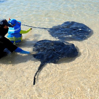 【含门船票+专车上门接送+向导伴游 】陵水分界洲岛一日游