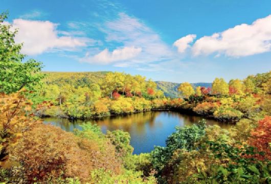 日本北海道青池-森林精灵阳台-四季彩之丘【北海道中文专车】【中文专车出行，景点灵活调整，打卡经典，游玩自己定义，无需等待，专属贴心服务，尽享惬意旅程】