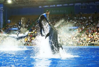 青岛极地海洋公园一日游【赶海小麦岛石老人浴场VIP2-6位】【青岛赶海一日游小麦岛极地海洋公园石老人浴场高端VIP2-6位】