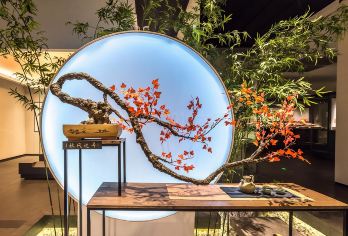 【慢享游】南京六朝博物馆 深度讲解 体验一步一景 光影成诗【沉浸式体验——文物与场景的“时空对话”】