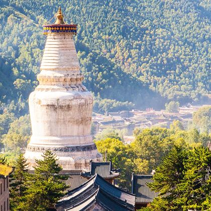 五台山祈福一日4-8人精品团【太原忻州市区接，文殊祖庭殊像】