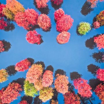 南京止马岭森林公园一日游【南京市内 赏秋】