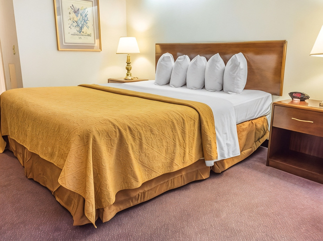 Adrian酒店住宿-Quality Inn Royle