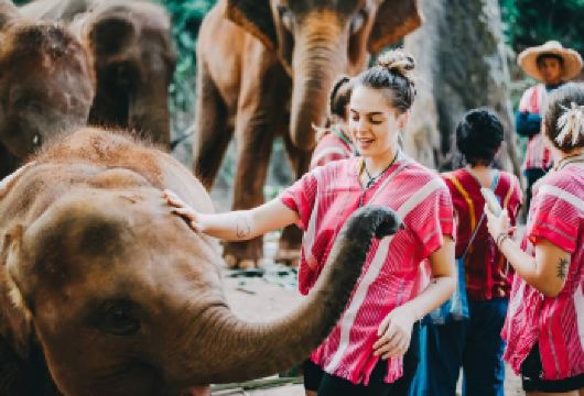 清迈美旺kechor可巧大象保护营半日游 竹筏漂流可选【零距离接触大象：在专业指导下喂食、互动，感受温柔巨兽的可爱魅力。】