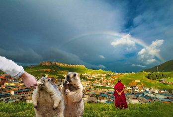 优选精品甘南2-6人纯玩1日游|甘加秘境|拉卜楞寺|桑科草原【精品纯玩一日游，无购物无隐形消费，购物赔1万！！来回接送服务，24小时随身旅行管家服务】