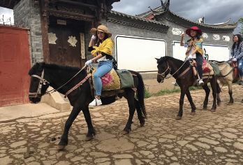 丽江拉市海湿地公园+茶马古道+千古情一日游【含骑马午餐演出】【套餐A含骑马+午餐+湿地公园门票+千古情门票；套餐B含骑马+午餐+湿地公园门票+划船+千古情门票；】