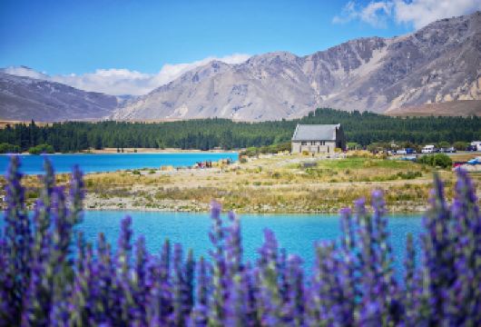 新西兰皇后镇蹦极/跳伞+高原农场｜私人订制行程｜可多日【尊享一对一高端行程定制，多日豪华包车专属礼遇，专业旅行顾问24小时恭候垂询。】