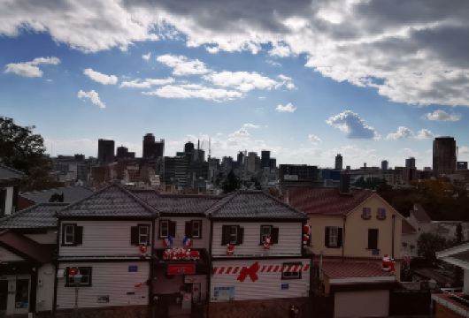 日本大阪+京都+ 伏见稻荷大社一日游/行程可调-可定制多日【包车一日游，解锁旅行新方式！独立车辆配备经验丰富的老司机，为您量身打造专属行程。】