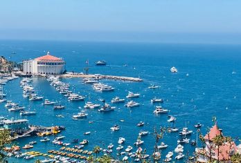 美国+洛杉矶+圣莫尼卡海滩一日游/行程可调-可定制多日【包车一日游，解锁旅行新方式！独立车辆配备经验丰富的老司机，为您量身打造专属行程。】