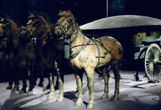 【DY】兵马俑+华清宫+陶俑手作体验 | 私家团—商务7座【甄选精华路线，适合亲子/家庭/朋友出游；2大热门5A景点深度游览，乐享纯玩，不虚此行】