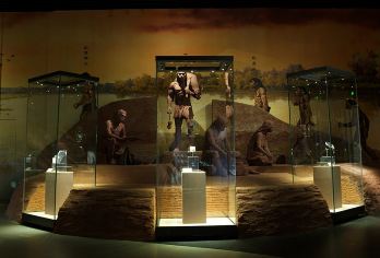 山西临汾博物馆半日游·凤凰说·含门票·含耳麦·深度讲解2小时【[导游服务]专职导游带你深度解读，和天命人一起打卡。】