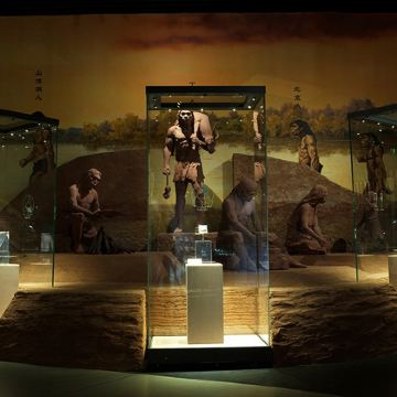 山西临汾博物馆半日游·凤凰说·含门票·含耳麦·深度讲解2小时