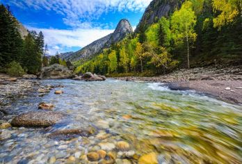 【在新疆当③天