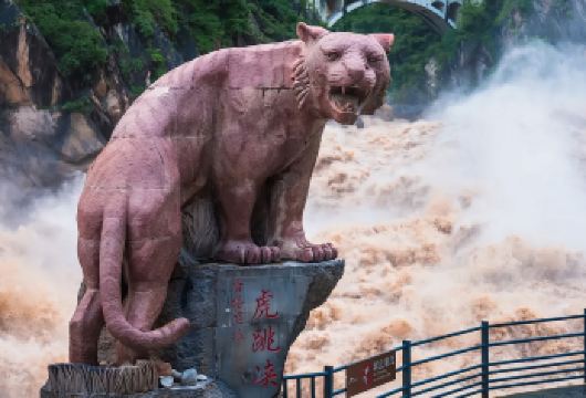 丽江+虎跳峡(香格里拉段)一日游（上门接送+7-19座车）【当天往返，9-19座商务车或中巴车出行，老司机带队】