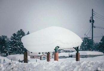 日本小樽/旭川/美瑛/富良野/洞爷湖/登别-札幌往返任选一日【专属客服和本地中文司机，一家一团包车】