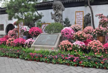 狮子林+寒山寺+山塘街一日游【杭州市区内免费接 纯玩无购物】【匠心打造纯玩之旅，承诺无购物无强制消费，指定范围内接驳】