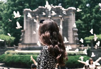 南京美龄宫+明孝陵+中山陵一日活动【15人小团丨赠灵谷寺门票】【[烂漫南京 服务保证]无购物无隐形消费，拒绝枯燥凑数景点，把时间花在精华上】