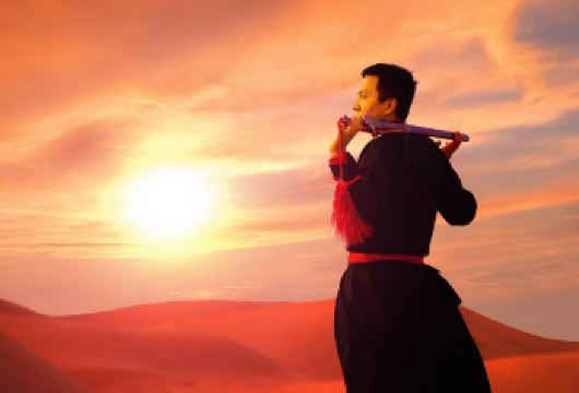 宁夏+中卫+沙坡头+腾格里沙漠+66号公路一日游【纯玩小团】【[安心出游]纯玩，无购物小团，轻松休闲亲子游，一人也发车，市区酒店上门接送，放心下单】