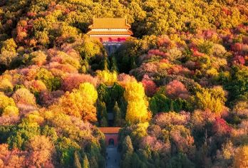 南京明孝陵一日游【官方人工讲解】20人精品小团（多场次可选）【精品小团、无购物】