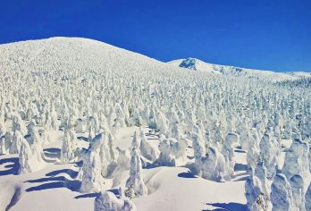 日本仙台-宫城藏王狐狸村+藏王树冰+银山温泉一日游【观赏冬季限定奇景