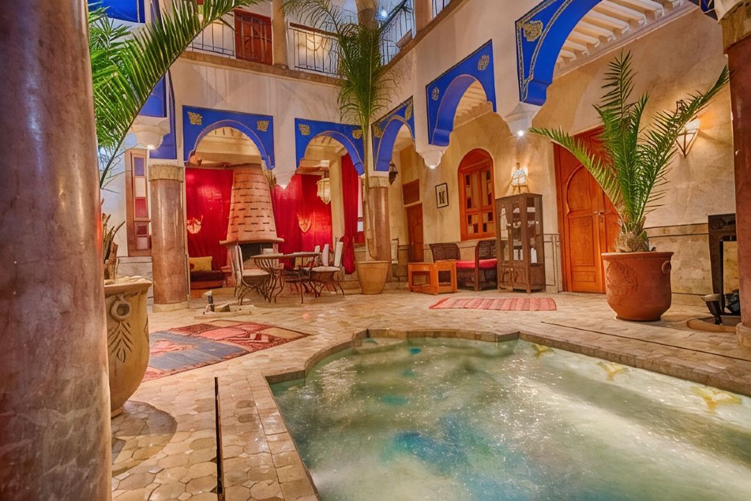 RIAD KENZO