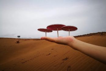 中卫腾格里沙漠·沙坡头·旅游包车·纯玩1日游【[舒适体验]家庭包车尊亨私家团，亲子游、不用早起，不拼车、轻松出行。】