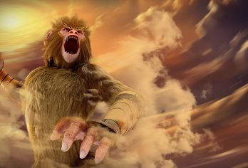 猴岛+呆呆岛一日【猴岛（索道/船票）+呆呆岛（电瓶车）】【纯玩一日，上门接送】