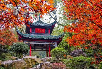 长沙市内经典一日游【囊括长沙精华景点，不走马观花，深度了解长沙的历史古今】