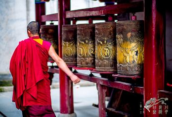 西宁+青海湖+塔尔寺+拉脊山+日月山一日游 【包车游】【1.纯玩无购物/游玩自由/消费透明】