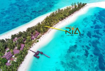 美人鱼岛浮潜体验 | 沙巴 亚庇【探索生机勃勃的珊瑚礁，在碧绿的海水中畅游，非常适合浮潜和拍摄水下照片。还能看到色彩斑斓的热带鱼、海胆、海星，甚至还有海龟！这片区域海洋生物多样性丰富。享受洁白的沙滩、摇曳的棕榈树，感受宁静的海岛氛围。这里是远离城市喧嚣的完美去处。】