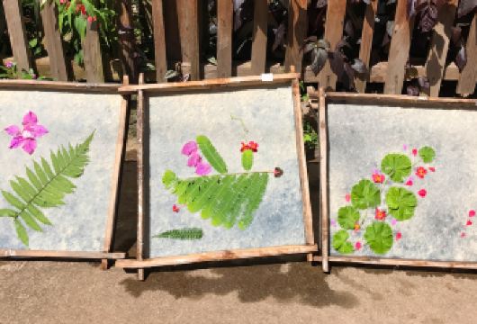 【轻奢纯玩小团+傣家非遗体验】西双版纳曼掌村半日游丨上门接送【充足的游览时间，多出发、返程时间可选，让旅行重回温度；】