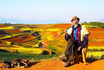 昆明东川红土地一日游【2-8人精致小团 赠18味蘸料烤洋芋】【休闲玩乐，全程纯玩无购物，无隐形消费，回归旅行的本质】