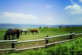 日本九州-熊本往返-阿苏山-草千里-高千穂峡 领略活火山风采【专业行程定制，精选热门景点，高效游玩不走回头路，贴心服务保障，轻松】