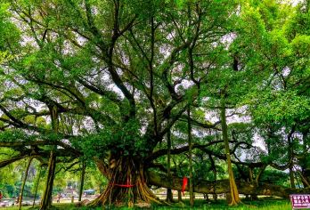 中缅边境公园一日游【纯玩团】