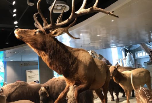 上海自然博物馆【猩咖说|含门票|拼/包团|大咖2H讲解】【[精品小团]配对蓝牙耳机，保证讲解质量】